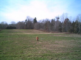 ai110.photobucket.com_albums_n83_unlisted8495_hands_PICT0010.jpg ai110.photobucket.com_albums_n83_unlisted8495_hands_PICT0010.jpg