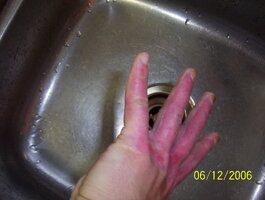 ai110.photobucket.com_albums_n83_unlisted8495_hands_100_1690.jpg ai110.photobucket.com_albums_n83_unlisted8495_hands_100_1690.jpg