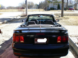 ai110.photobucket.com_albums_n83_unlisted8495_mustang_2098_DSCN1555.jpg