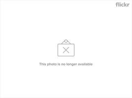 afarm4.static.flickr.com_3144_3007676531_3a72d22ab4_m.png