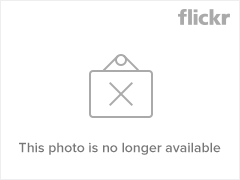 afarm4.static.flickr.com_3243_3008513860_c1072450d8_m.png