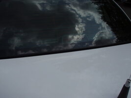 ai2.photobucket.com_albums_y17_drsnoze_P1010054_3.jpg ai2.photobucket.com_albums_y17_drsnoze_P1010054_3.jpg