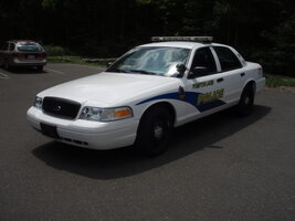 ai2.photobucket.com_albums_y17_drsnoze_P1010048_3.jpg ai2.photobucket.com_albums_y17_drsnoze_P1010048_3.jpg