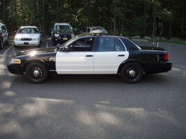 ai2.photobucket.com_albums_y17_drsnoze_P1010070.jpg ai2.photobucket.com_albums_y17_drsnoze_P1010070.jpg