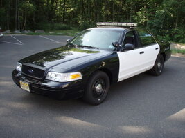 ai2.photobucket.com_albums_y17_drsnoze_P1010064.jpg ai2.photobucket.com_albums_y17_drsnoze_P1010064.jpg