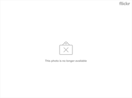 afarm6.static.flickr.com_5204_5243526887_0565b4ba69_z.png
