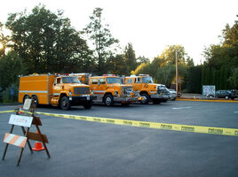 ai275.photobucket.com_albums_jj293_shawnlayton_CAM_0543.jpg