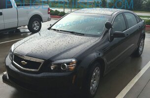 aimages41.fotki.com_v195_photos_1_14219_36203_IMG_0879_vi.jpg