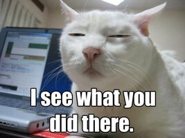 awww.threadbombing.com_data_media_43_i_see_what_you_did_there.jpg