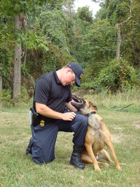 ai66.photobucket.com_albums_h277_cbpdogboy_maxstare.jpg