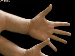 aphilly.barstoolsports.com_files_2014_06_gif5.gif