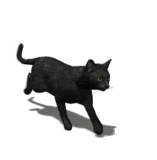 afc02.deviantart.net_fs70_f_2012_160_3_3_black_cat_running_by_fireheartnyan1_d52vc58.gif