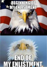 au5aq4437zm120nck735bj1c6.wpengine.netdna_cdn.com_wp_content_uploads_2015_01_Reenlistment.jpg