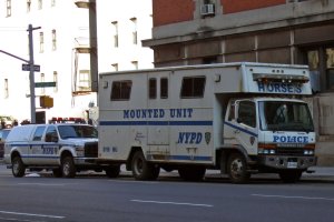 aupload.wikimedia.org_wikipedia_commons_d_d0_NYPD_Mounted_Unit_truck_Horses.jpg