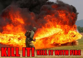ai1.kym_cdn.com_photos_images_original_000_128_622_KILL_IT_WITH_FIRE_FUNNY_FORUM_PICS.jpg