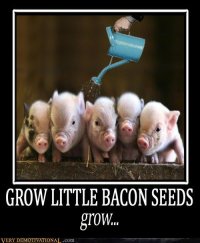 amilitantlibertarian.org_wp_content_uploads_2014_07_BaconSeeds.jpg