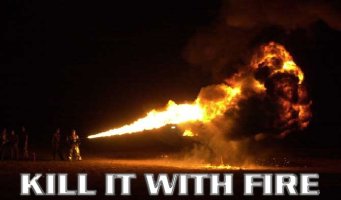 a2static.fjcdn.com_pictures_Kill_a1e11a_5585591.jpg