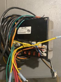 IMG_5833.jpeg