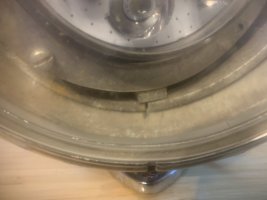 IMG_4282.jpeg