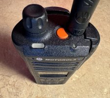 Photo Mar 23 2024, 18 28 59.jpg