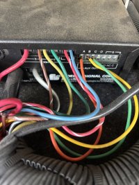 IMG_9356.jpeg