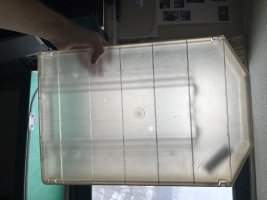 IMG_4462.jpeg IMG_4462.jpeg