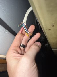 IMG_3989.jpeg